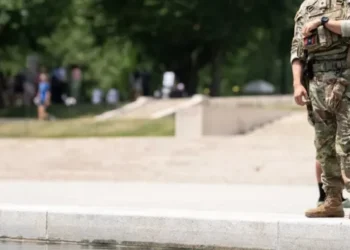Woman swarmed by National Guard and US Marshals for dipping hand into reflecting pool: TMZ