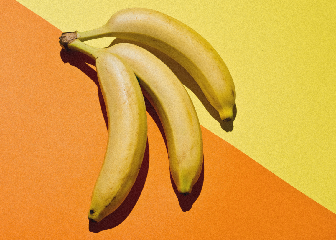 A Man Who Donated His Body to Science Shocked Medical Students With His ‘Triple Penis’