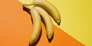A Man Who Donated His Body to Science Shocked Medical Students With His ‘Triple Penis’
