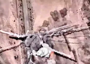 US strikes Iran in retaliation for downed Apache helicopter: report