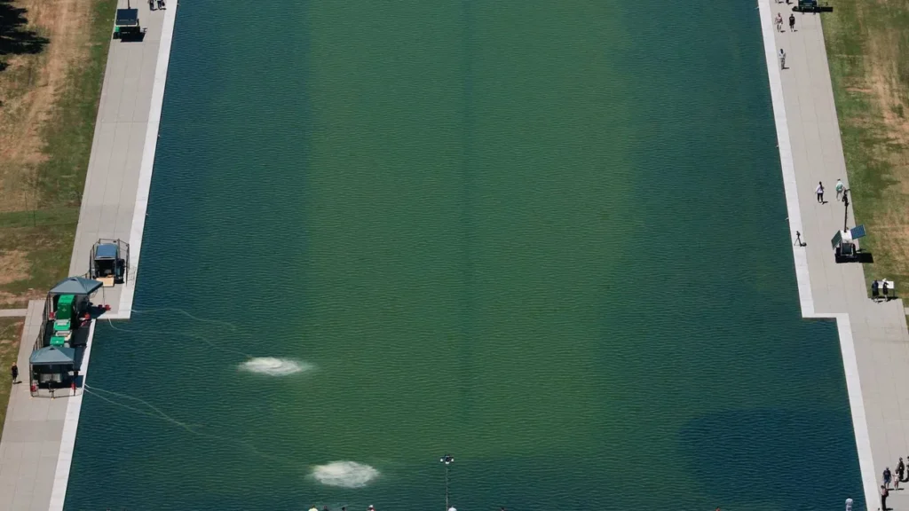 Trump admin frantically scrambling to clean up murky Reflecting Pool: report