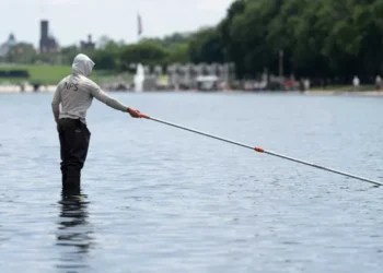 Internal documents undercut Trump’s Reflecting Pool vandalism claims: report