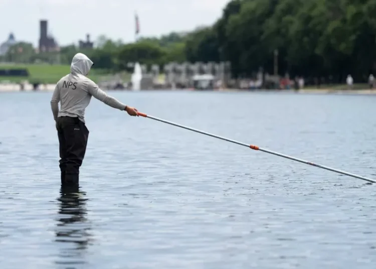 Internal documents undercut Trump’s Reflecting Pool vandalism claims: report