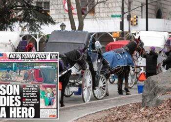 Mamdani pressured to ban NYC’s iconic horse carriage rides after teen tourist’s death
