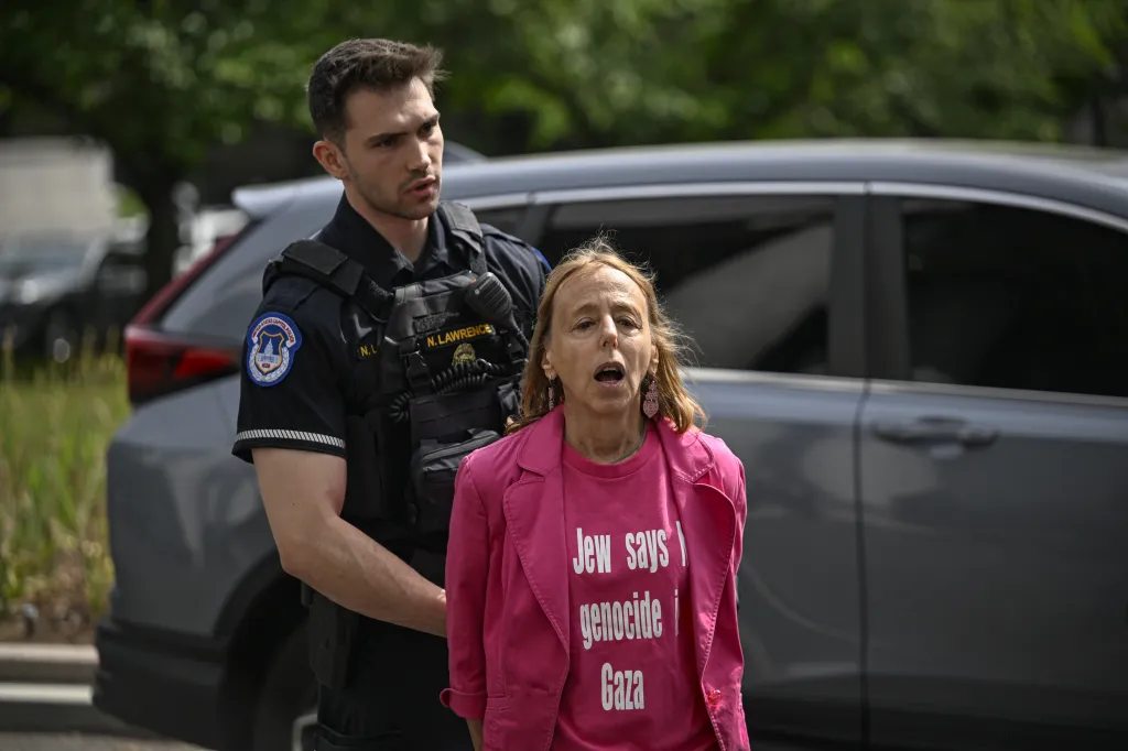 American Jewish activist Medea Benjamin, wearing a pink shirt with 