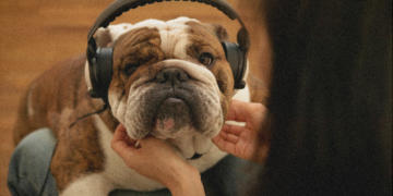 Americans Are Making Spotify Playlists for Their Dogs. These Are the Songs They’re Picking.