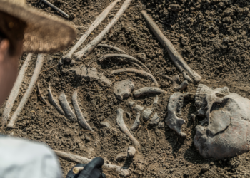 Ancient Scottish Woman Found Buried With Her Brain Scooped Out And Her Bones Sharpened
