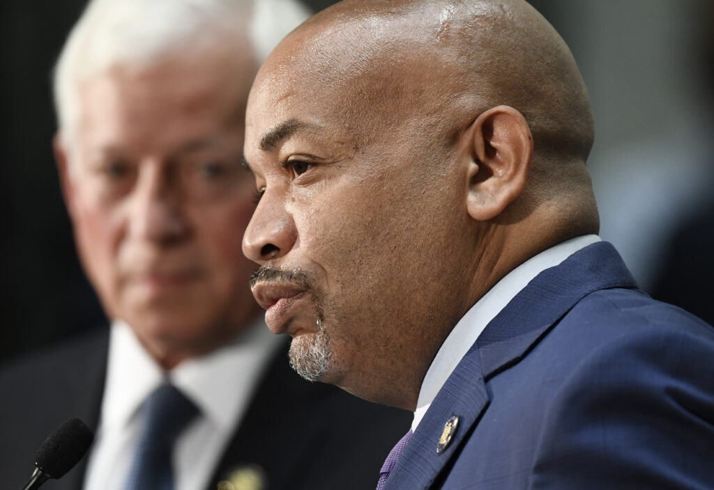 Democrats seek more control over referenda in New York