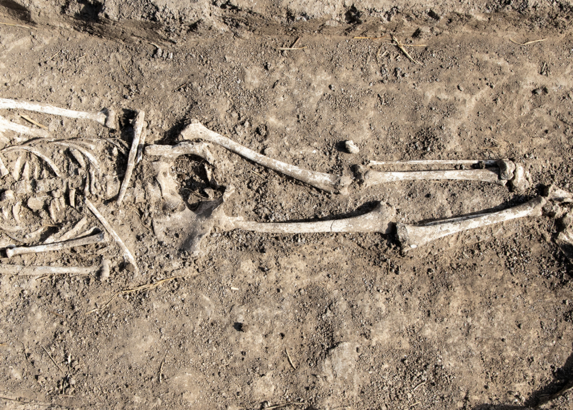 Archaeologists Found a 7,000-Year-Old Mass Grave Filled With 77 Headless Skeletons