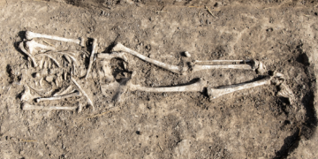 Archaeologists Found a 7,000-Year-Old Mass Grave Filled With 77 Headless Skeletons
