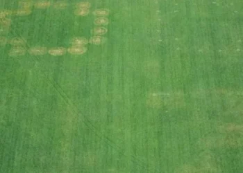 White House blames ‘assassination culture’ after ’86 47′ etched into National Mall