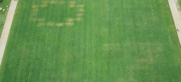 White House blames ‘assassination culture’ after ’86 47′ etched into National Mall