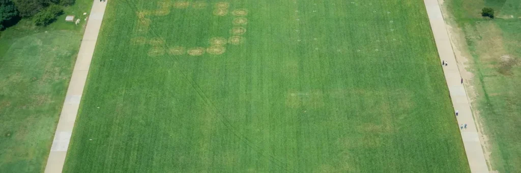 White House blames ‘assassination culture’ after ’86 47′ etched into National Mall