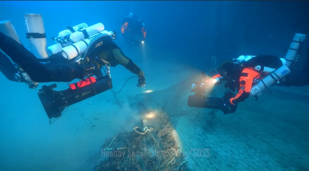 Scuba divers.