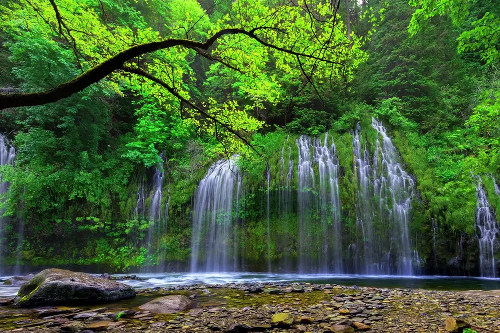Mossbrae Falls in Dunsmuir, California, cascades down a moss-covered rock face, feeding into a rocky riverbed, with lush green trees framing the scene.