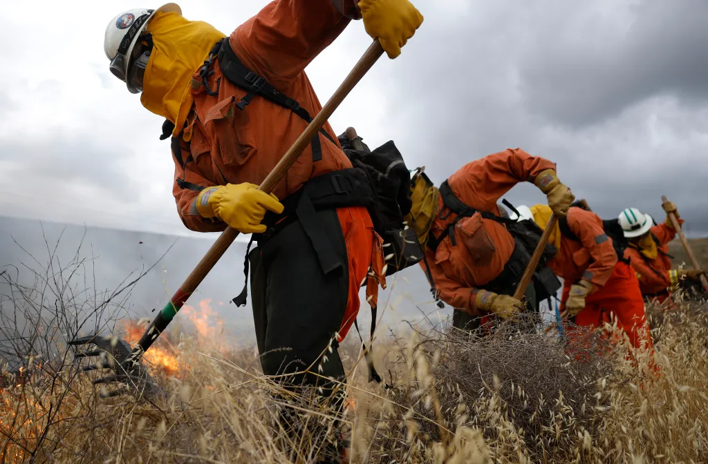 CDCR inmate firefighters clear vegetation with hand tools during a wildland fire training exercise.