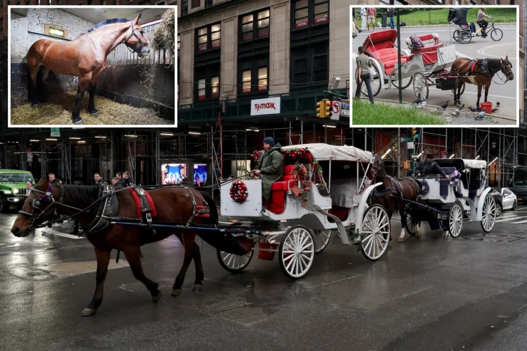 Central Park carriage horses return to work – as bombshell report finds horses with scarring, cramped stables