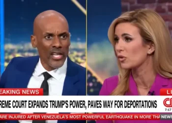 ‘It’s abhorrent!’ CNN pundit snaps at ex-Trump official during fiery immigration debate
