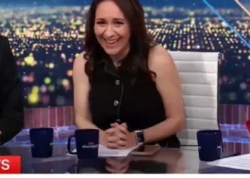 ‘It’s not a joke’: CNN pundits crack up while reading new detail in Trump tell-all