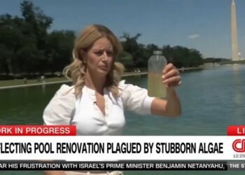 ‘Obsessed!’ MAGA goes berserk as CNN tests water in Trump’s Reflecting Pool fiasco