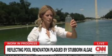 ‘Obsessed!’ MAGA goes berserk as CNN tests water in Trump’s Reflecting Pool fiasco