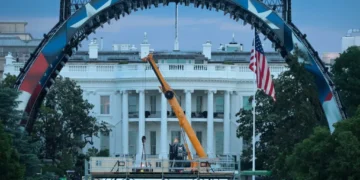 ‘Gnats will swarm’: Weather forecast perfect for bugs to take over Trump’s UFC fight