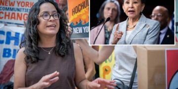 ‘Complete hypocrite:’ Mamdani-backed Congress candidate    slams billionaires and AI industry while raking in their cash