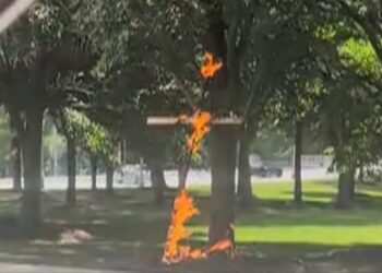 Burning cross found in Chicago park sparks police investigation into how it got there