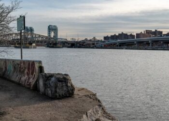 Jet ski driver arrested for drunken  crash that killed woman, 26, near Randall’s Island