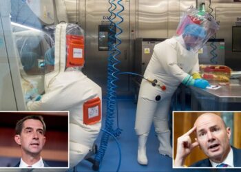 Sens. Cotton, Lee demand Trump admin cut off Chinese from national labs