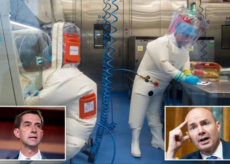 Sens. Cotton, Lee demand Trump admin cut off Chinese from national labs