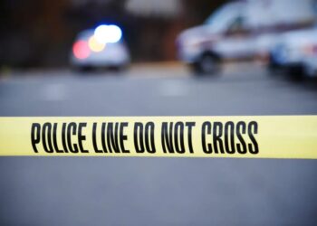 Beloved great granny, 93, killed in NYC motorcycle hit-and-run by cowardly rider who chillingly admired carnage before fleeing