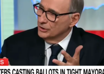 Renowned strategist names Tuesday primary race that could define Democrats’ 2026 fate