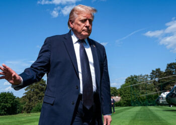 Inside Trump’s Stock Trading Surge