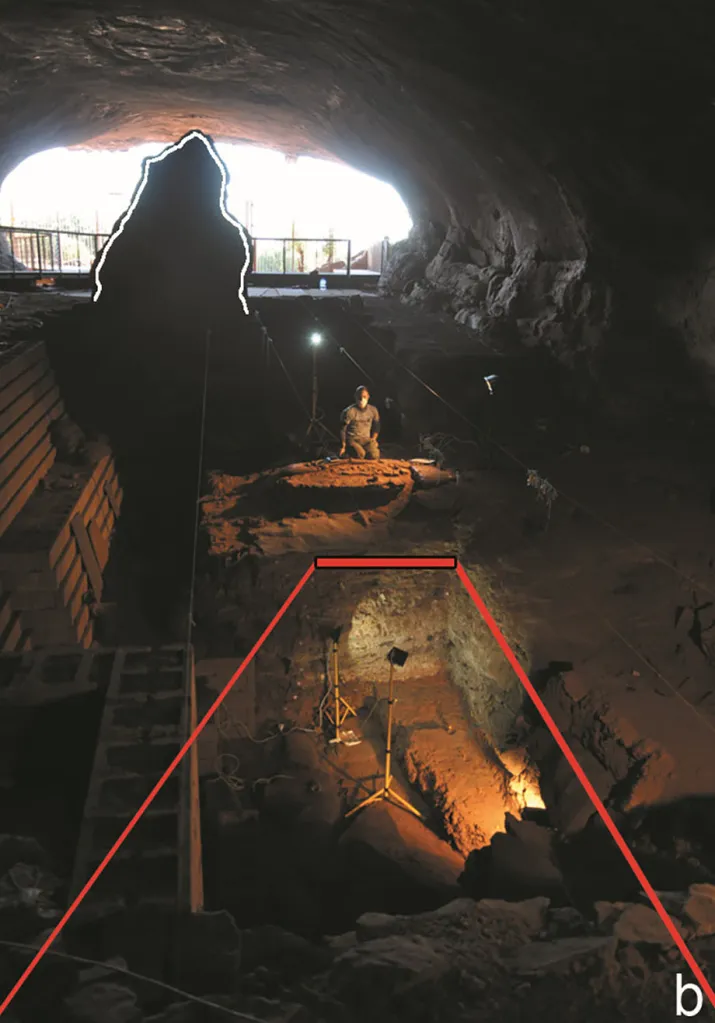 Fossils in cave.
