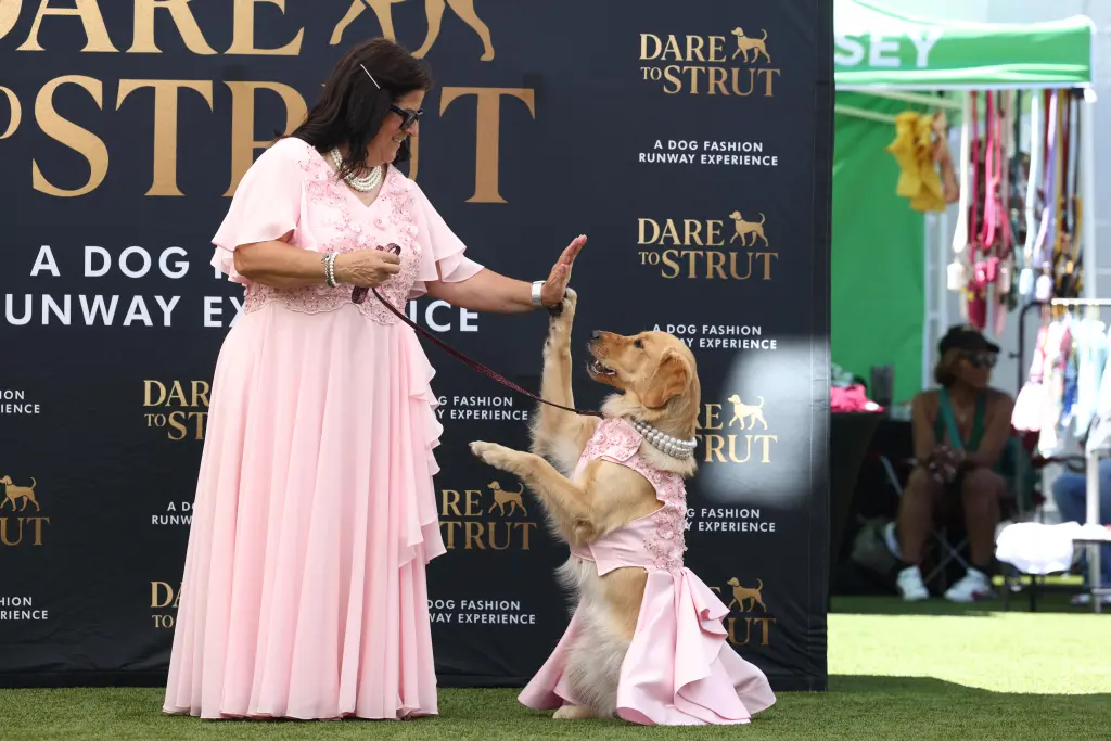 A woman in a pink dress high-fiving a Golden Retriever in a matching pink dress and pearl necklace at a dog fashion runway event.