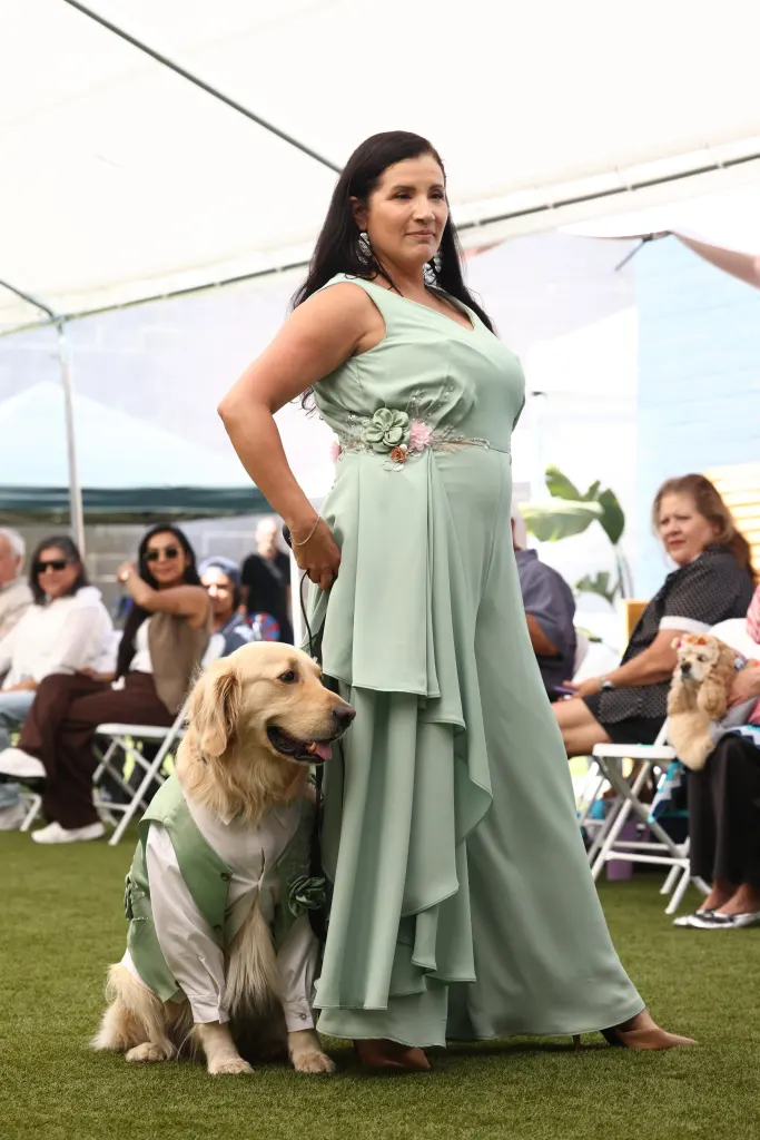 Bentley, a Golden Retriever, and Cynthia pose at a dog fashion runway event.