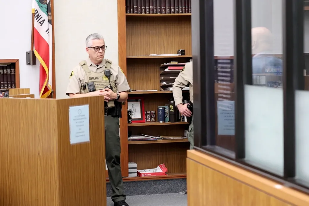 Sheriff's Deputy D. Martinez stands in a courtroom with a California flag and a bookshelf behind him.