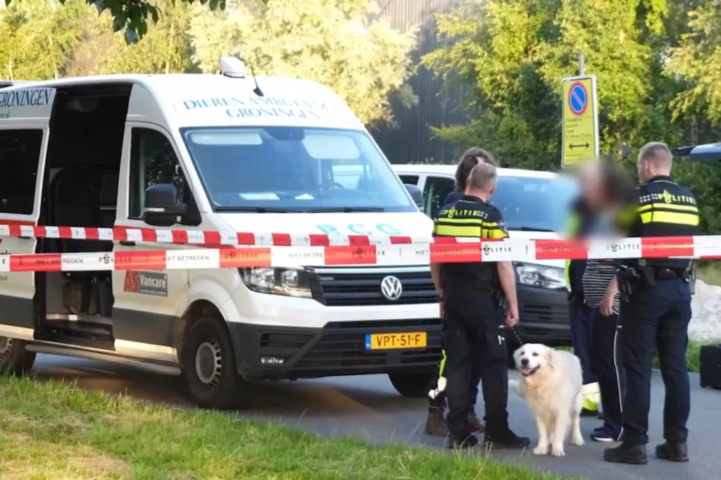 Crime scene with an ambulance, police officers, and a white dog.