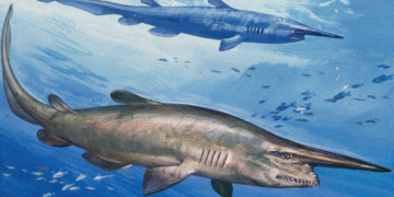 Famously Ugly Goblin Sharks Filmed Alive in Their Deep-Sea Habitat for the First Time