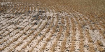 GOP’s ‘unconscionable’ omission in new farm bill has hunger experts furious