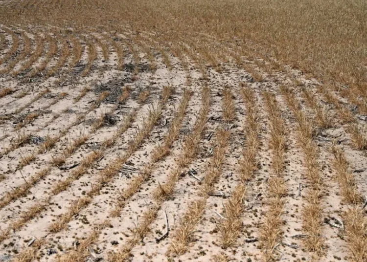 GOP’s ‘unconscionable’ omission in new farm bill has hunger experts furious