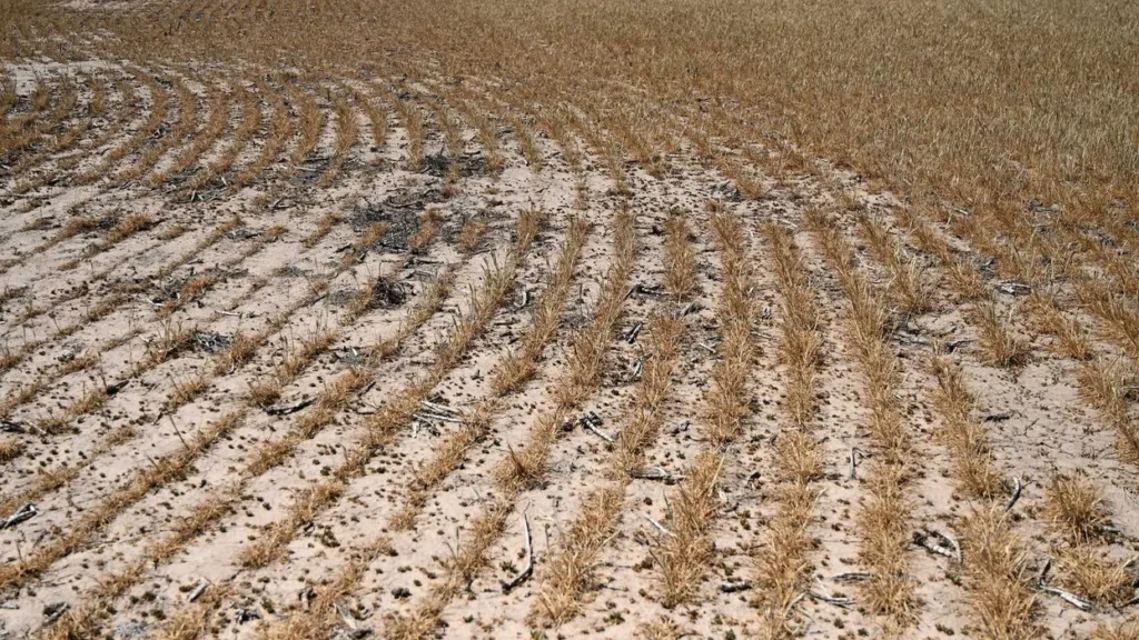 GOP’s ‘unconscionable’ omission in new farm bill has hunger experts furious