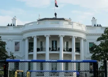 Capitol Hill’s lone MMA fighter delivers Trump a bruising snub