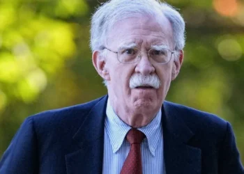 Ex-Trump national security adviser to plead guilty after years of calls for his arrest