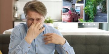Portland couple sues neighbor over foul stench wafting from tiny home so pungent they need to wear gas masks