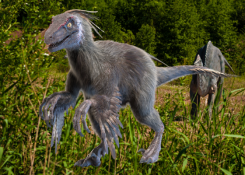 Ever Wondered What a Deadly Flying Squirrel With Velociraptor Claws Would Look Like? Science Has Your Answer.