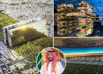 Saudi Arabian Crown Prince’s $12 trillion, desert-city dream in tatters as megaproject halted