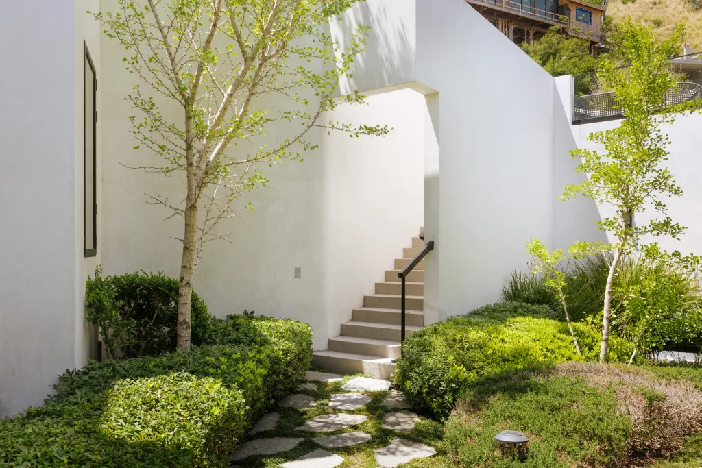 Outside greenery