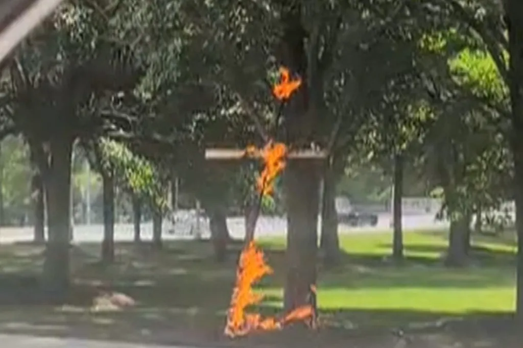 A wooden cross engulfed in bright orange flames leans against a tree in Grant Park, Chicago.